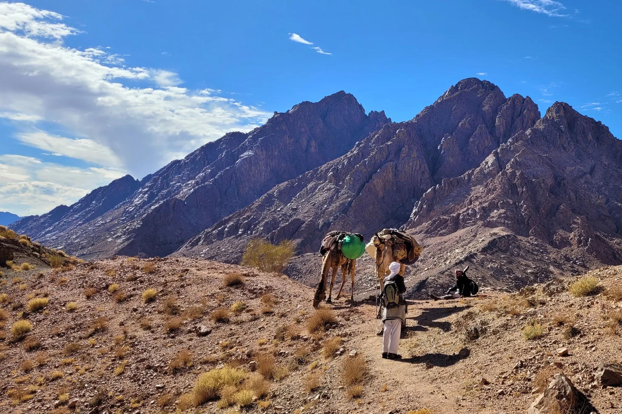 The jagged granite pinnacles of Jebel Um Shomer rising above South Sinai's desert landscape
