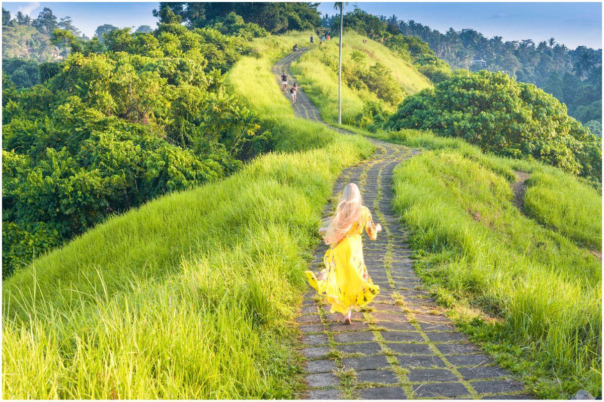Paved ridge path flanked by green valleys and palm trees on Campuhan Ridge Walk, Ubud