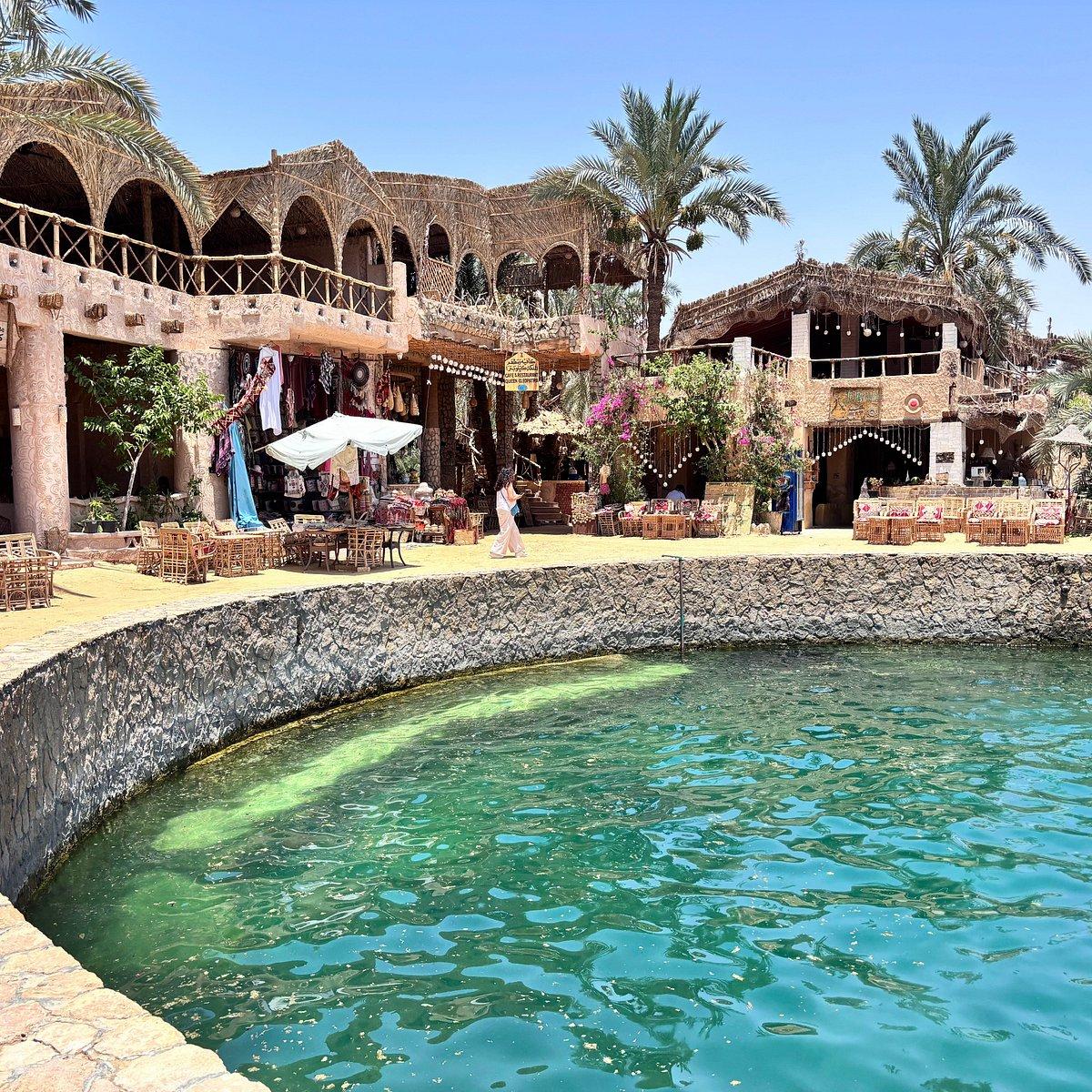 Cleopatra's Spring natural stone pool surrounded by palm trees in Siwa Oasis