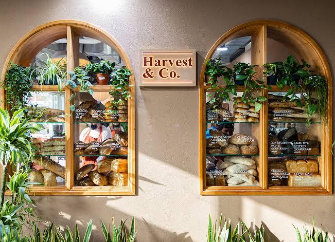 Harvest & Co Dubai Garden Centre café surrounded by greenery, serving specialty coffee and fresh brunch dishes.
