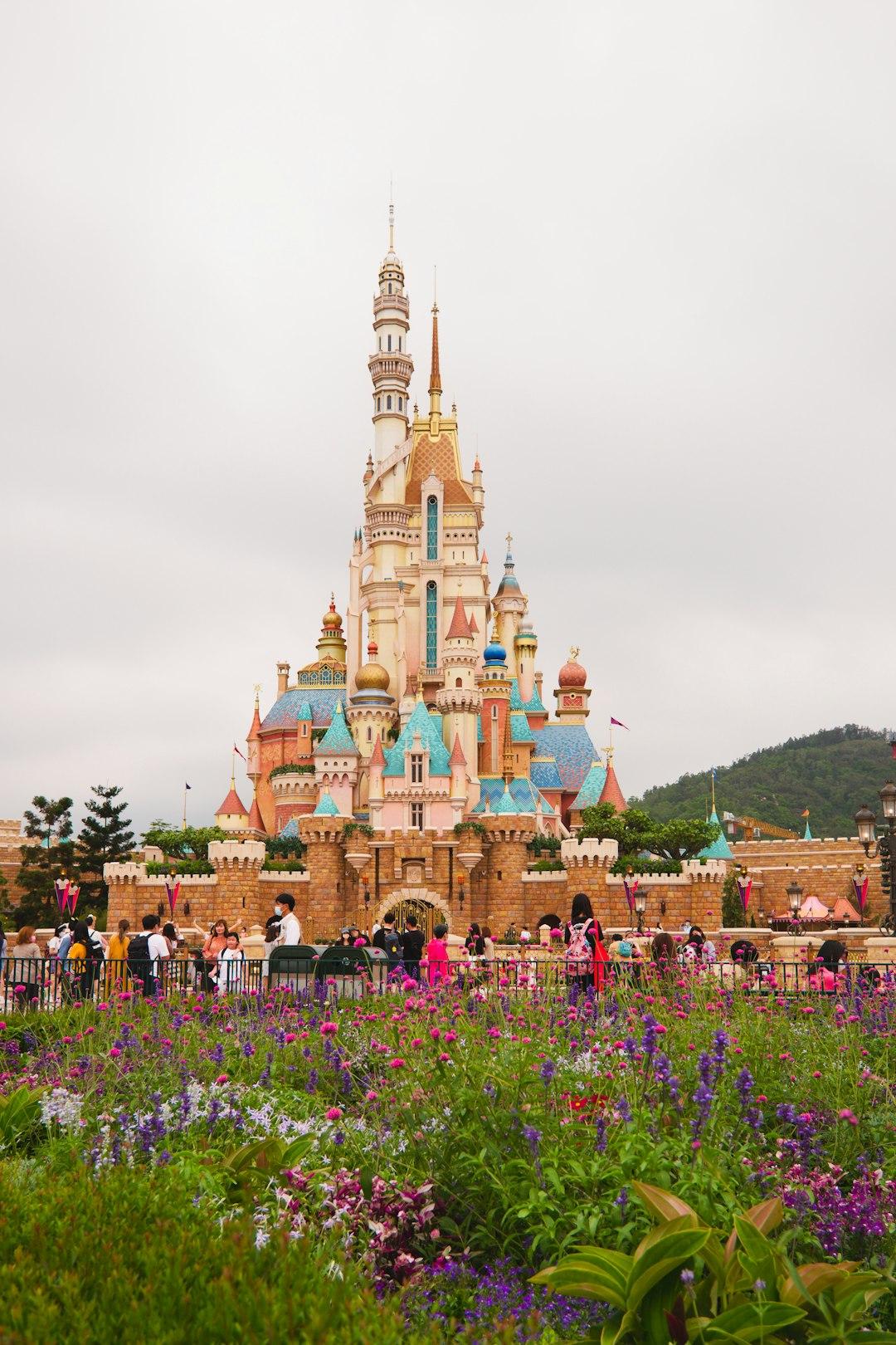 Castle of Magical Dreams at Hong Kong Disneyland surrounded by pink and purple wildflowers, with visitors and green hills behind