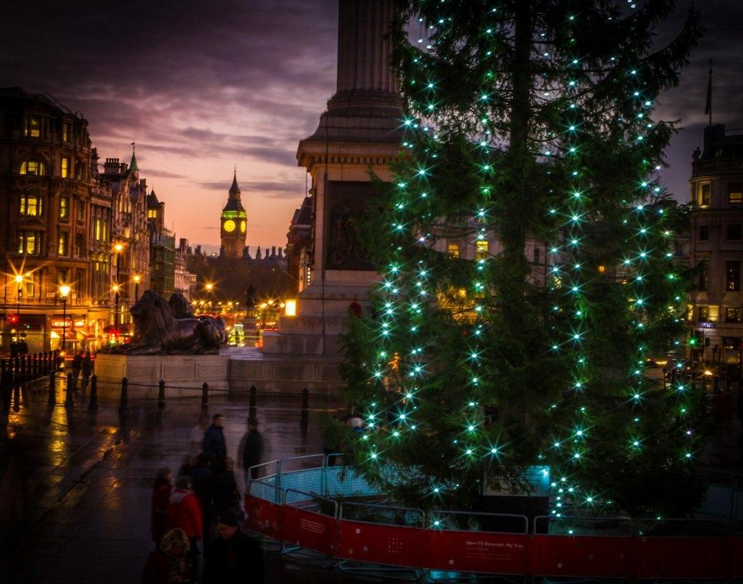 Trafalgar Square Christmas tree with teal lights at dusk, Nelson's Column and Big Ben glowing in the background, London