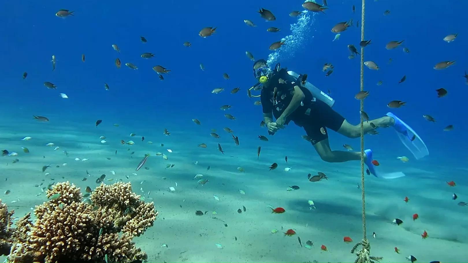 Pick Sharm El Sheikh if serious diving is the primary purpose of the trip