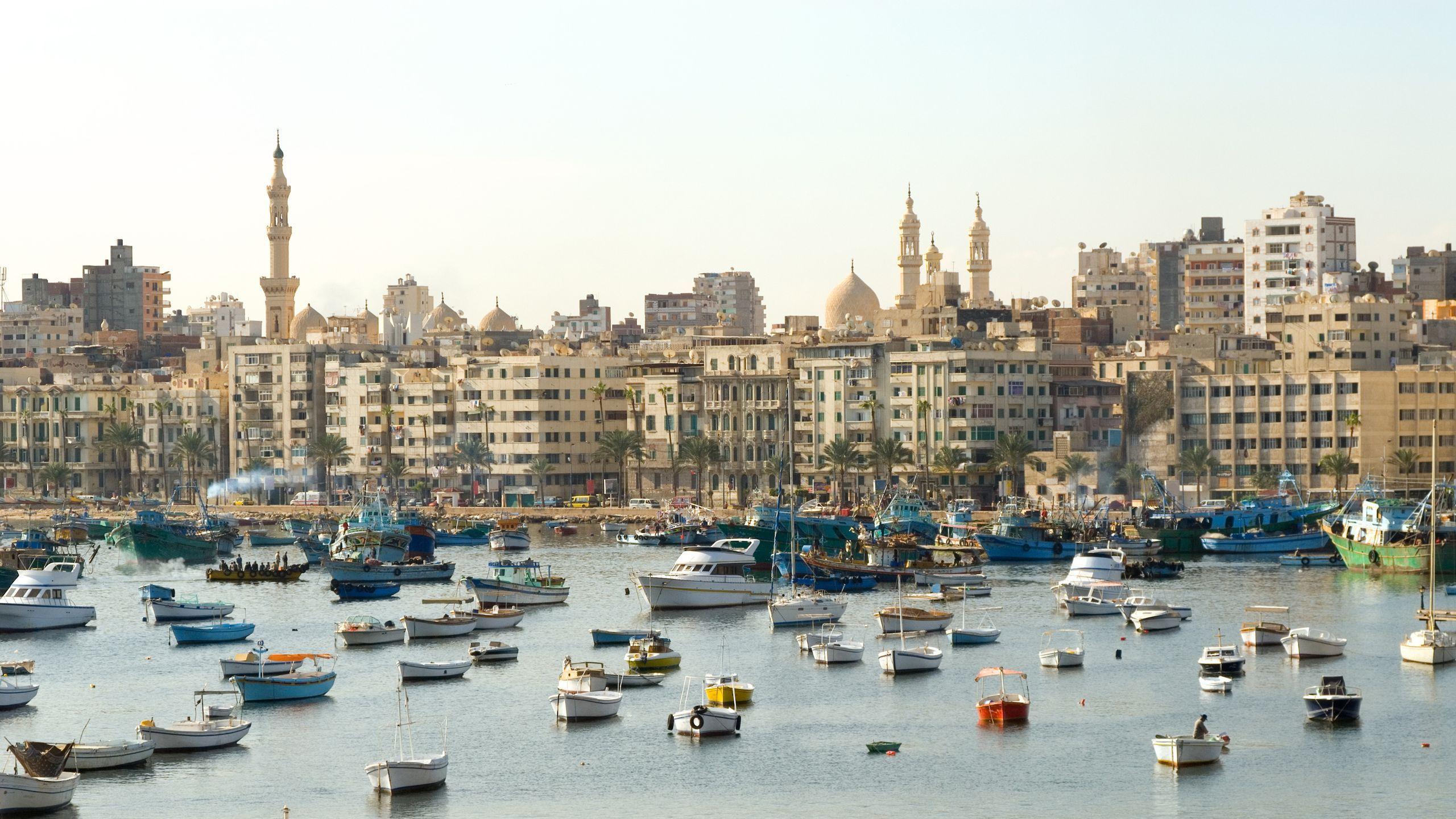 Child fishing on Alexandria's rocky waterfront with the city skyline stretching across the Mediterranean under a clear blue sky