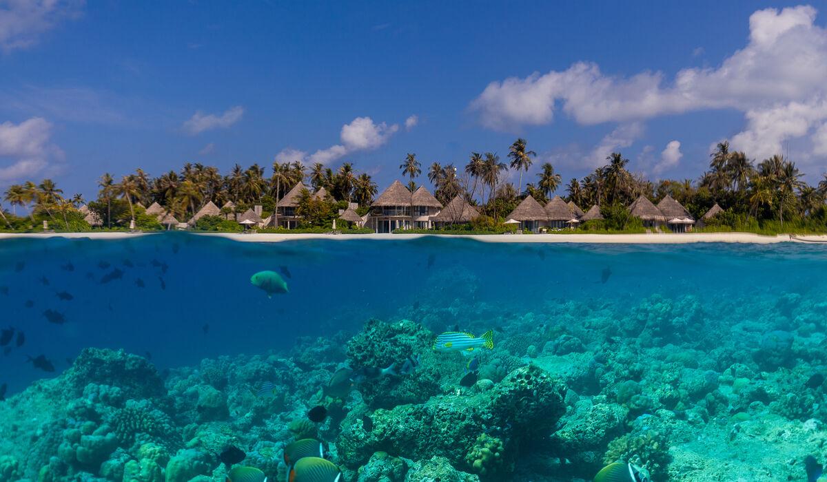 Manta rays gathered in Hanifaru Bay, Baa Atoll UNESCO Biosphere Reserve, Maldives