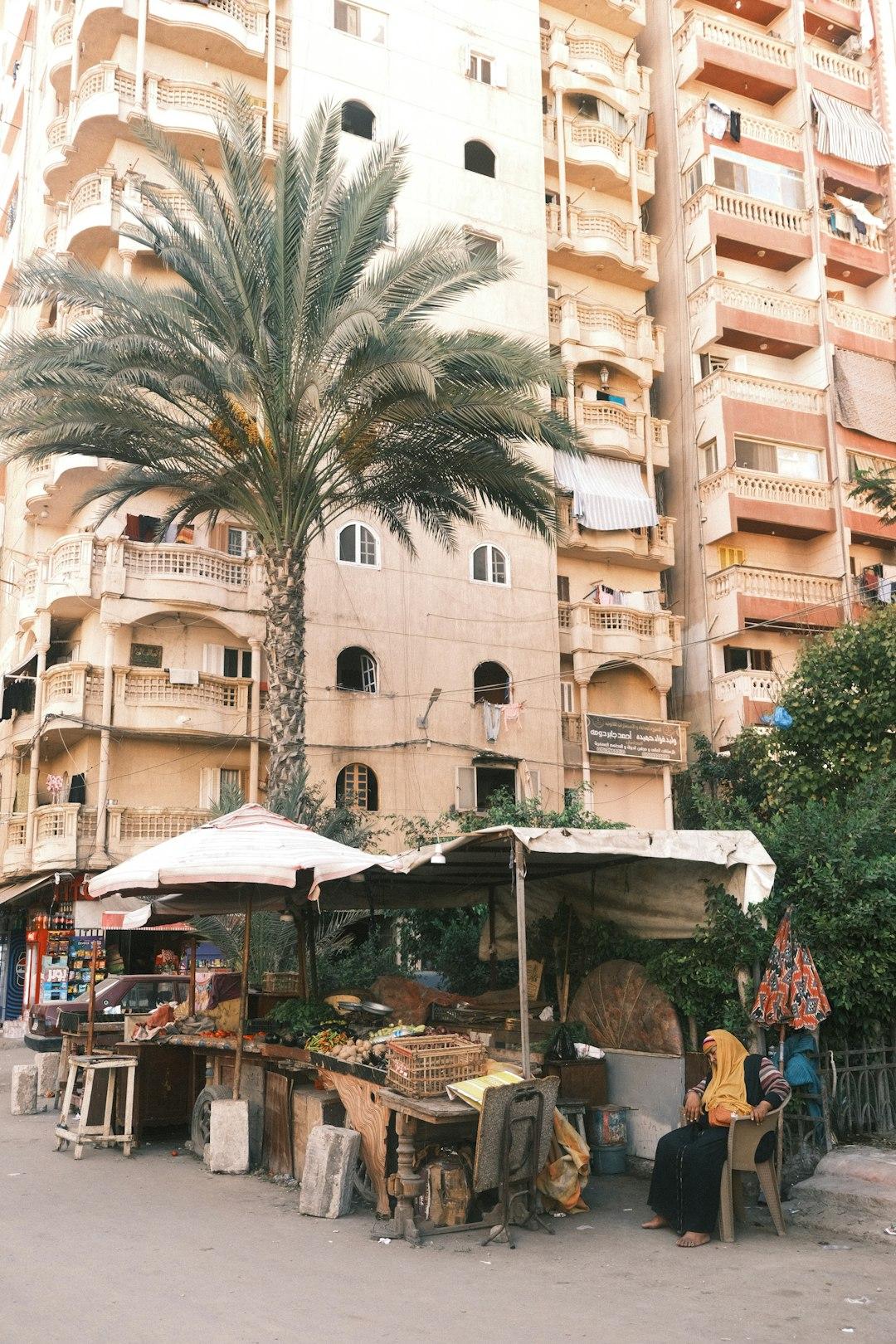 Street vendor stall with fresh produce under canvas awnings beside a tall palm tree and sandy-toned apartment blocks in Alexandria, Egypt