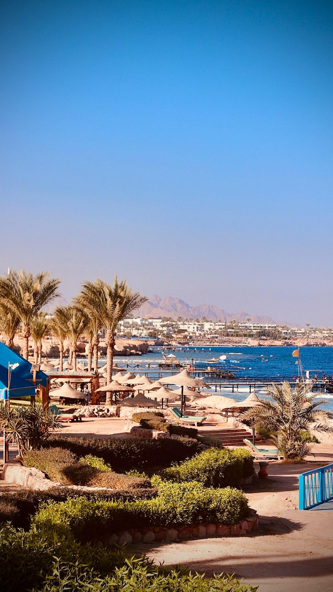 Sharm El Sheikh resort beach with straw umbrellas, palm trees, wooden pier, and mountain backdrop under clear blue sky