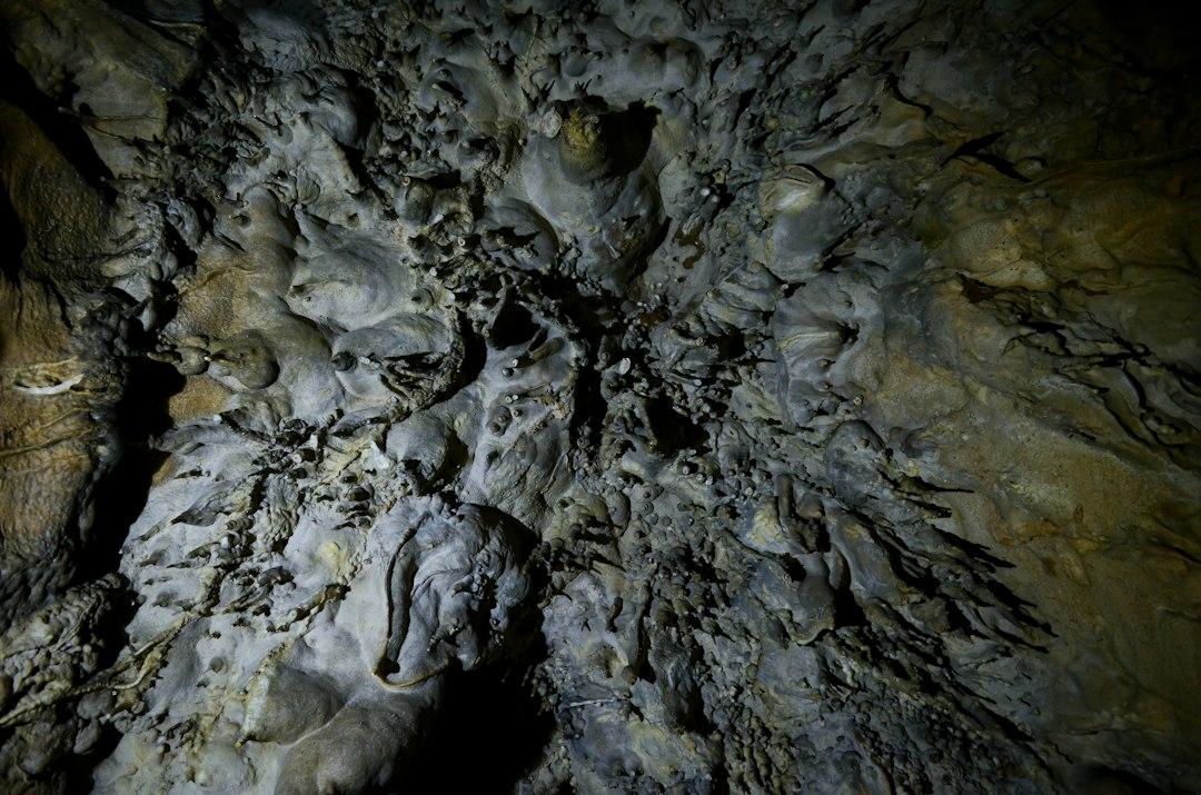 Textured limestone cave ceiling covered in lumpy mineral formations inside Jeita Grotto, Lebanon