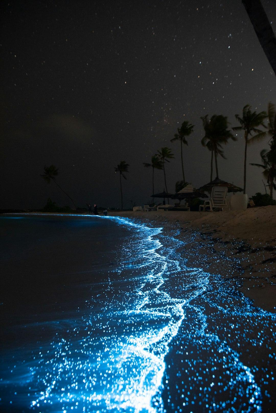 Glowing blue bioluminescent waves washing ashore on Vaadhoo Island beach at night, with starry sky and palm trees