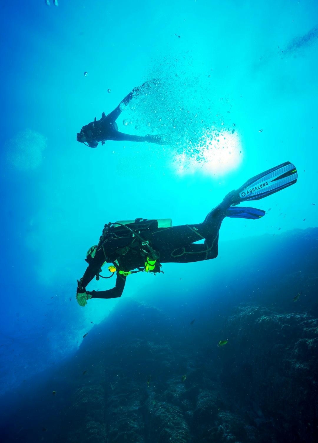 Diver descending toward a vivid coral reef in clear Red Sea water