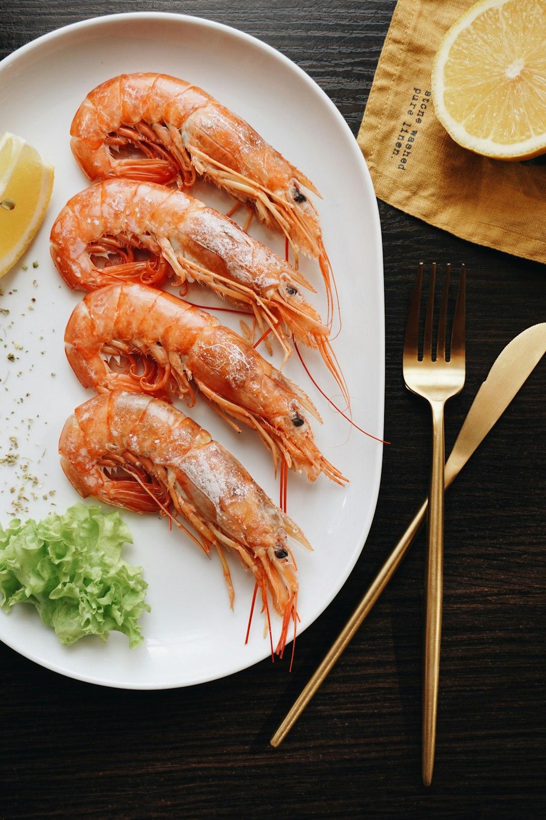Stanley Bridge arching over Alexandria's turquoise coastline, with a crowded sandy beach and city buildings under clear blue sky