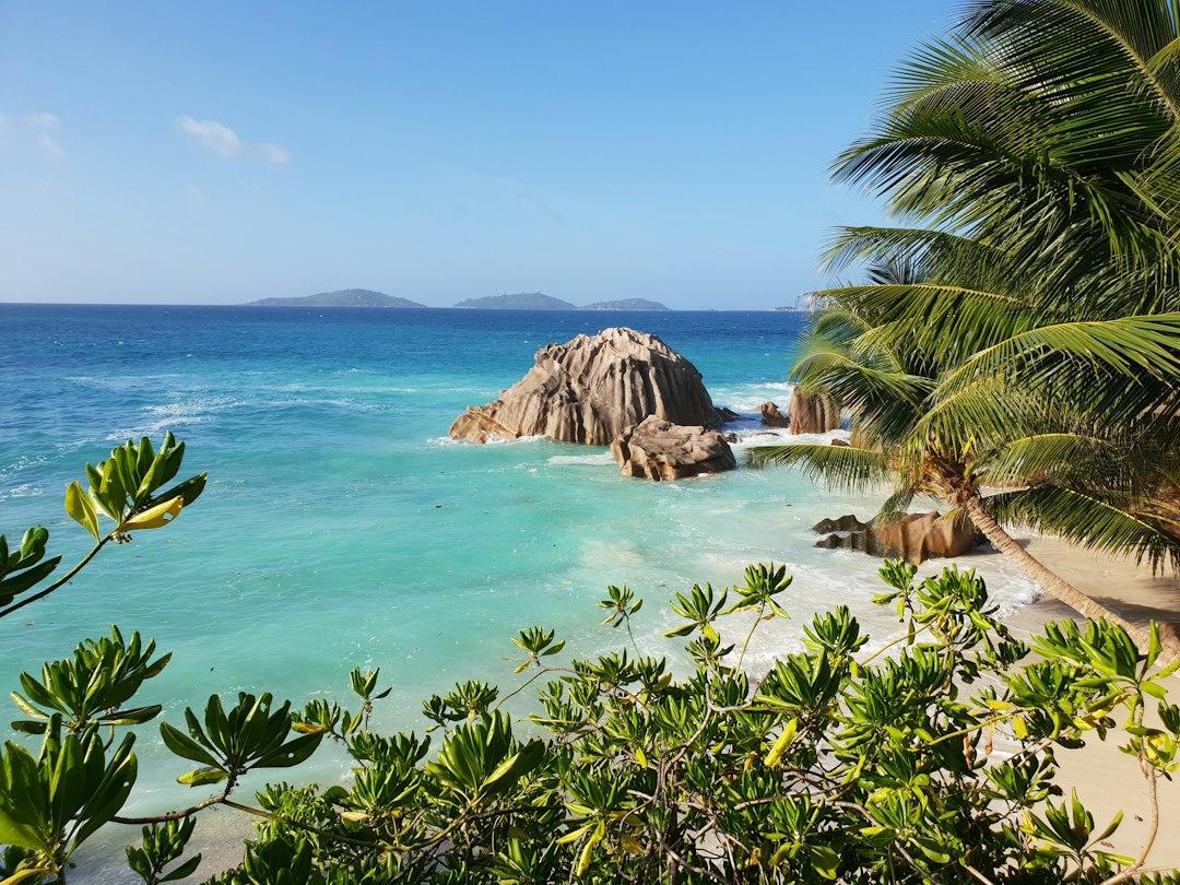 Turquoise lagoon with granite boulders on a sandy Seychelles beach, framed by palm trees and tropical foliage