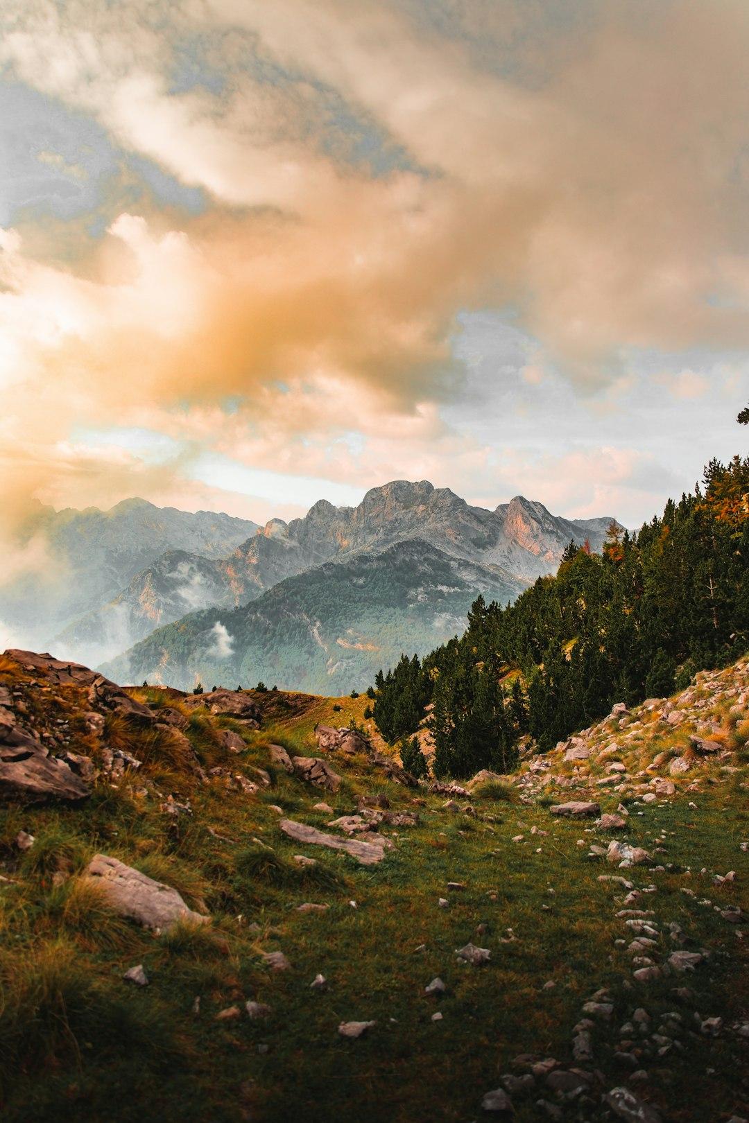 Rocky alpine meadow with evergreen trees and dramatic layered mountain peaks under golden storm clouds, Albanian Alps